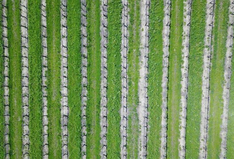 침실 2개 주택, Aterno Vineyard, Guest House