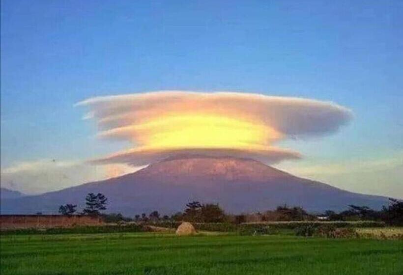 Стандартный Номер Кровать Кинг, Agung Inn Amed