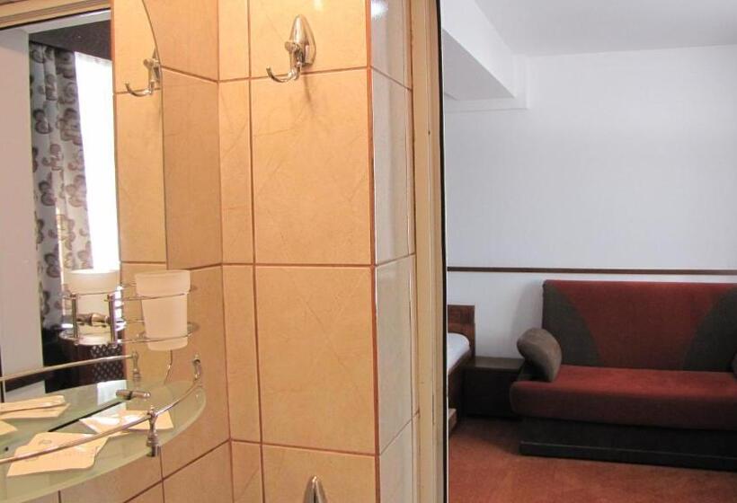 Номер Superior, Villa Elitte Predeal