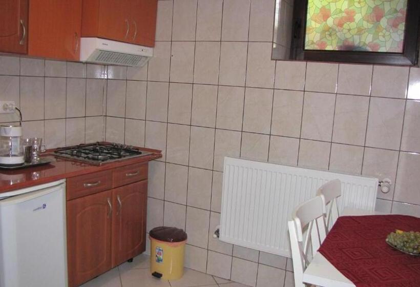 غرفة سوبيريور, Villa Elitte Predeal