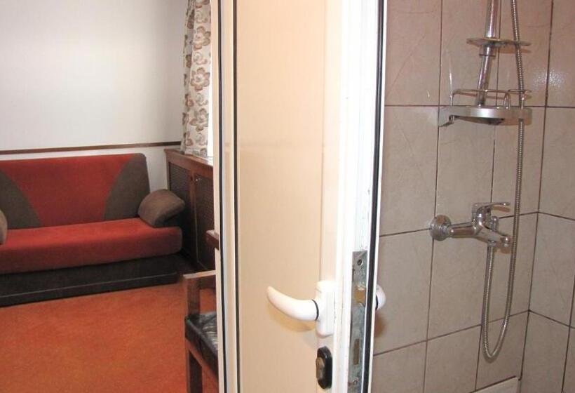 Номер Superior, Villa Elitte Predeal