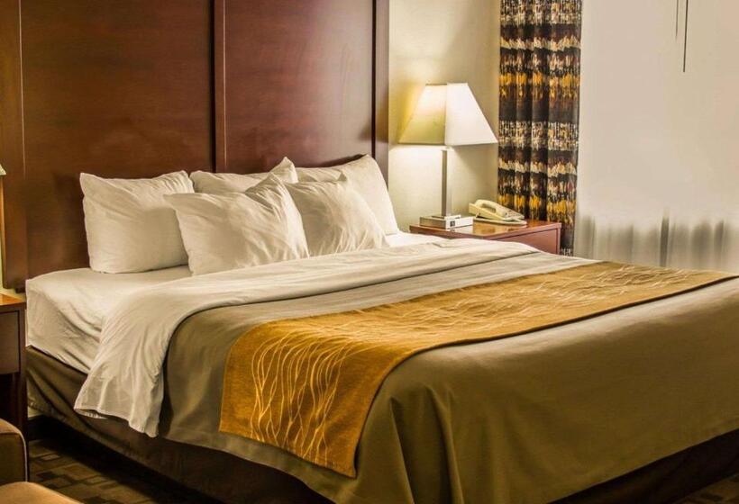 스탠다드 룸 킹사이즈 침대, Comfort Inn