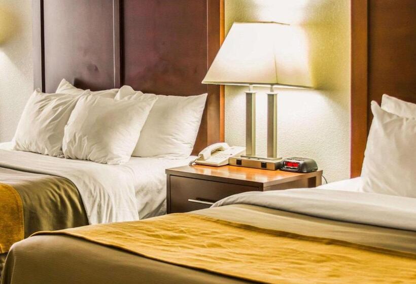 スタンダードルーム, Comfort Inn