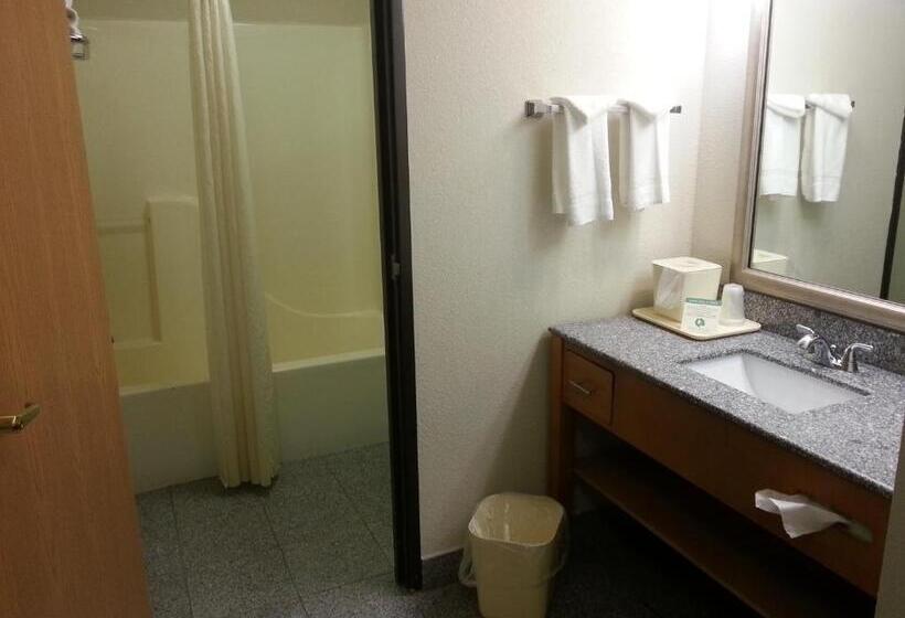 キングサイズベッドのスタンダードルーム, Comfort Inn