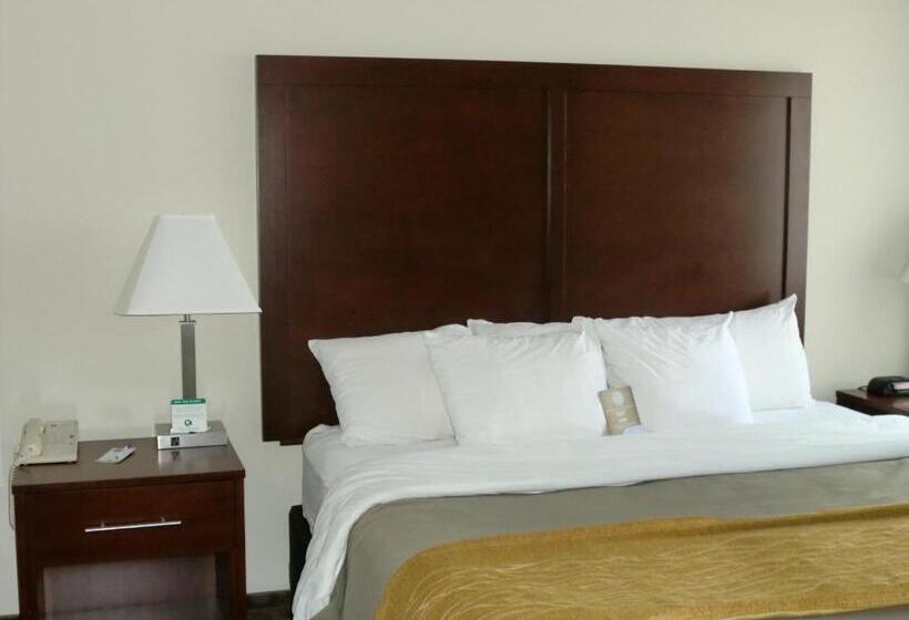 キングサイズベッドのスタンダードルーム, Comfort Inn