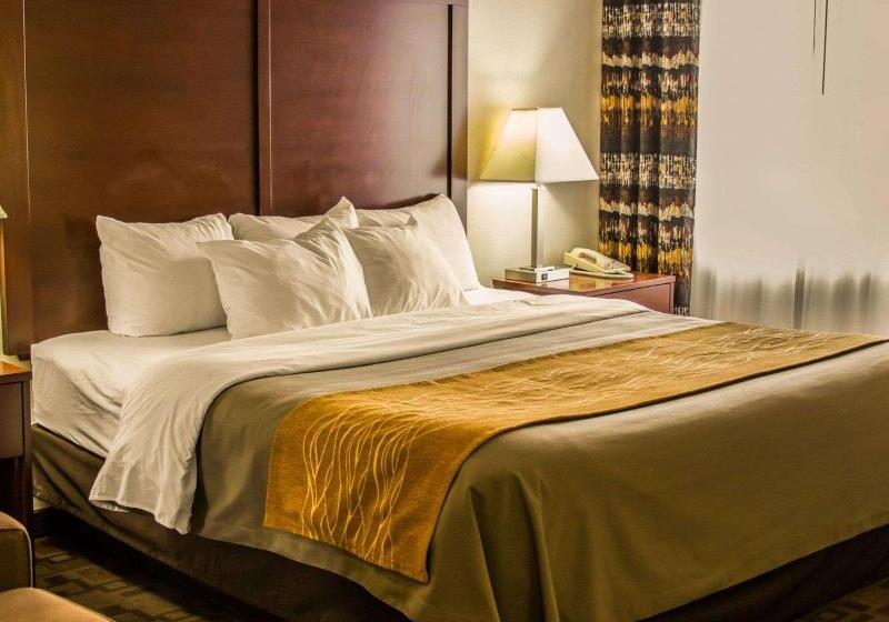 身障者適用キングサイズベッドルーム, Comfort Inn