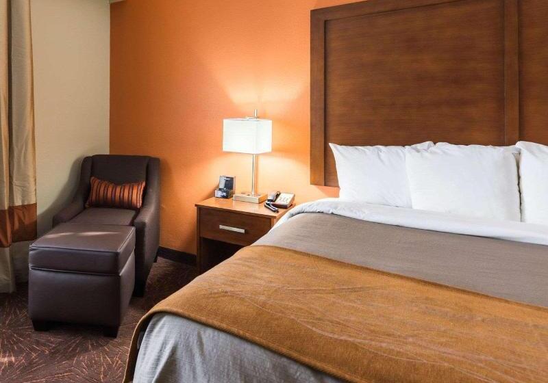 带大床的标准间, Econo Lodge Inn & Suites East Houston I10