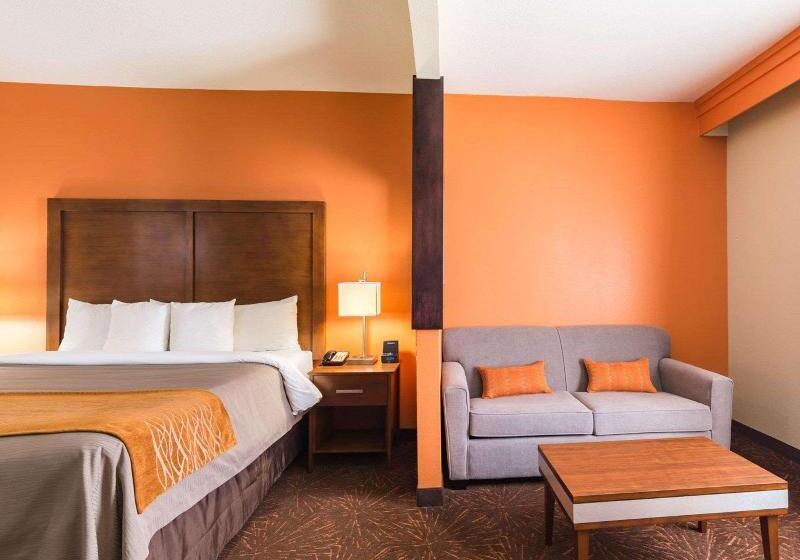 带大床的套房, Econo Lodge Inn & Suites East Houston I10