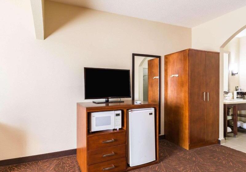 带大床的套房, Econo Lodge Inn & Suites East Houston I10