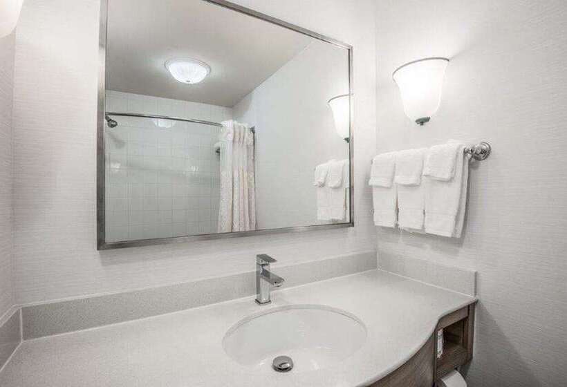 Standard-studio King-vuode, Hilton Grand Vacations Club Tuscany Village Orlando