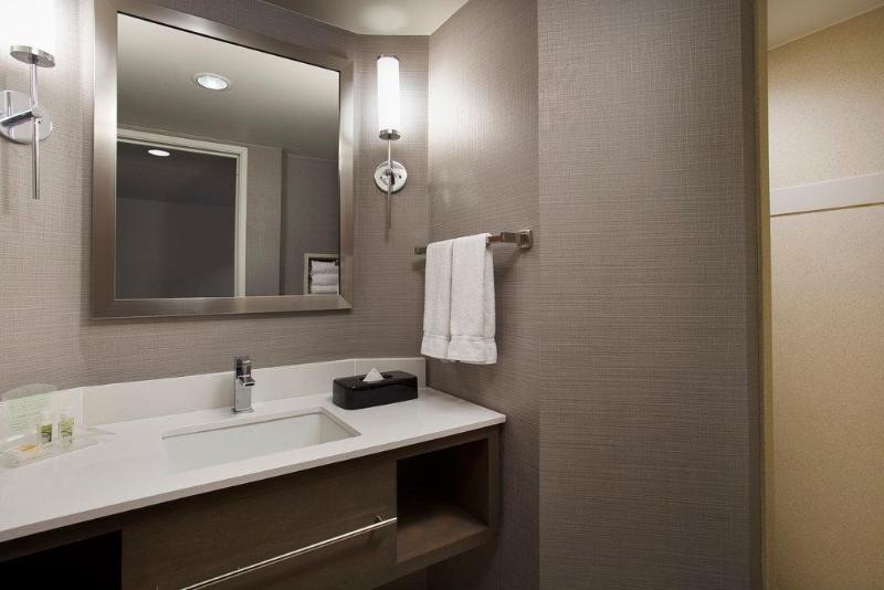Büyük Çift Kişilik Yataklı Süit, Holiday Inn Grand Rapids Airport, An Ihg