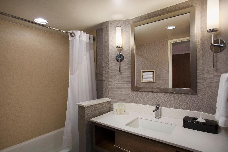 Standart Oda, Holiday Inn Grand Rapids Airport, An Ihg