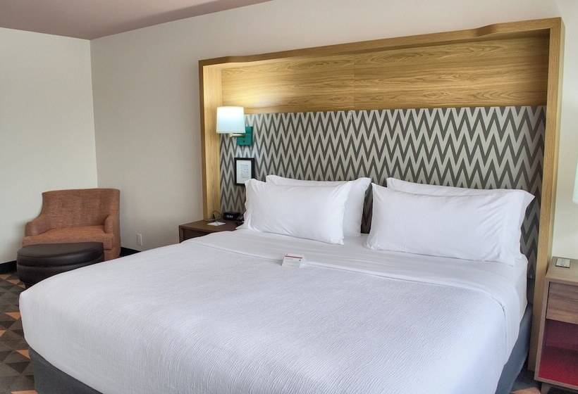 스탠다드 룸, Holiday Inn Mobile West I 10, An Ihg