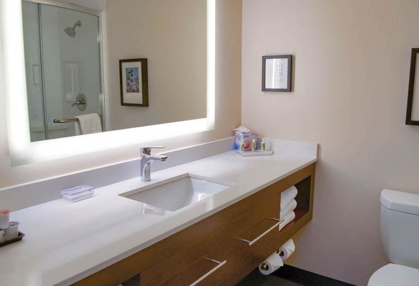 스탠다드 룸 더블 침대 2개, Holiday Inn Mobile West I 10, An Ihg