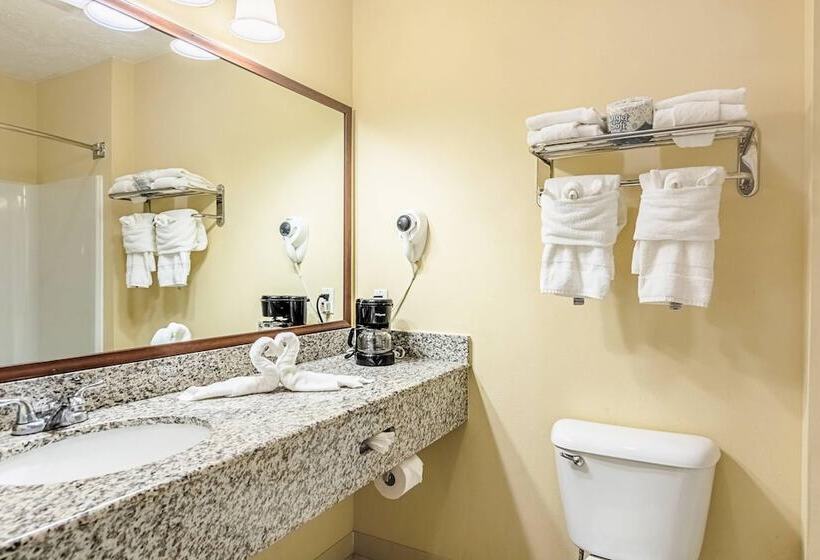 Номер Стандарт 2 Двуспальные Кровати, Quality Inn Burkeville Hwy 360 & 460