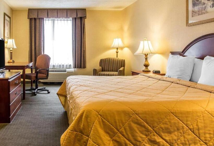 스탠다드 룸 킹사이즈 침대, Quality Inn Hackettstown   Long Valley