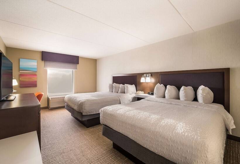 身障者適用スタンダードルーム, Hampton Inn Mchenry