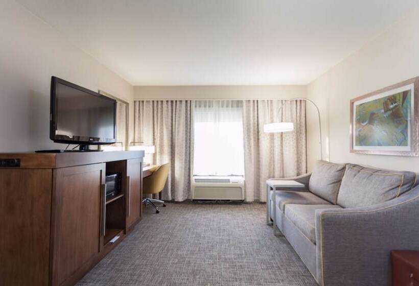 Suite Lit King, Hampton Inn & Suites Dallasdfw Airport Northgrapevine