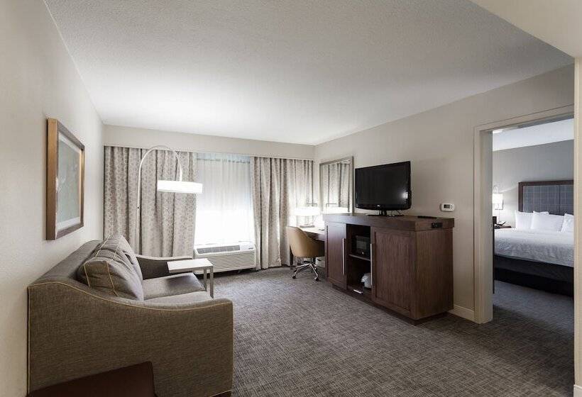 Suite, Hampton Inn & Suites Dallasdfw Airport Northgrapevine