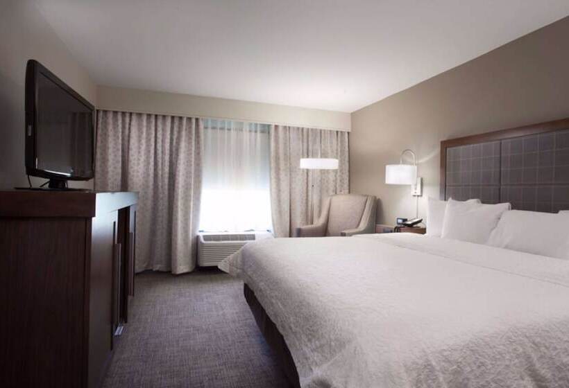 Suite, Hampton Inn & Suites Dallasdfw Airport Northgrapevine