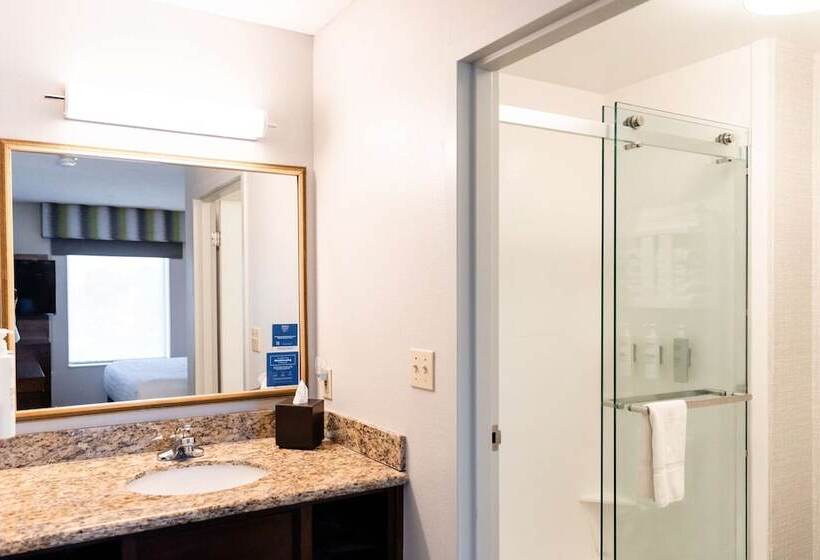 Студия Стандарт, Hampton Inn & Suites Scottsbluffconference Center