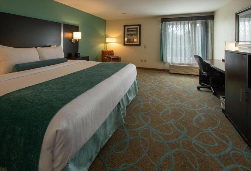 장애인을 위한 킹사이즈 침대 스탠다드 룸, City Express by Marriott Duluth