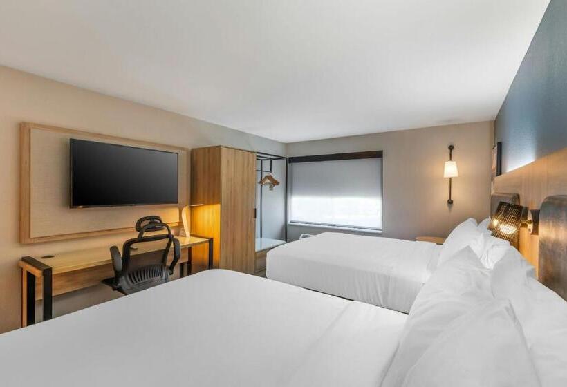 اتاق استاندارد, City Express by Marriott Duluth