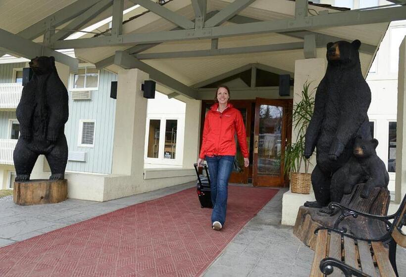 Номер Стандарт, The Black Bear Lodge At Stratton Mountain Resort