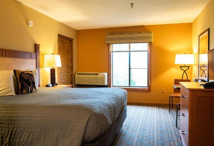 Номер Superior, The Black Bear Lodge At Stratton Mountain Resort