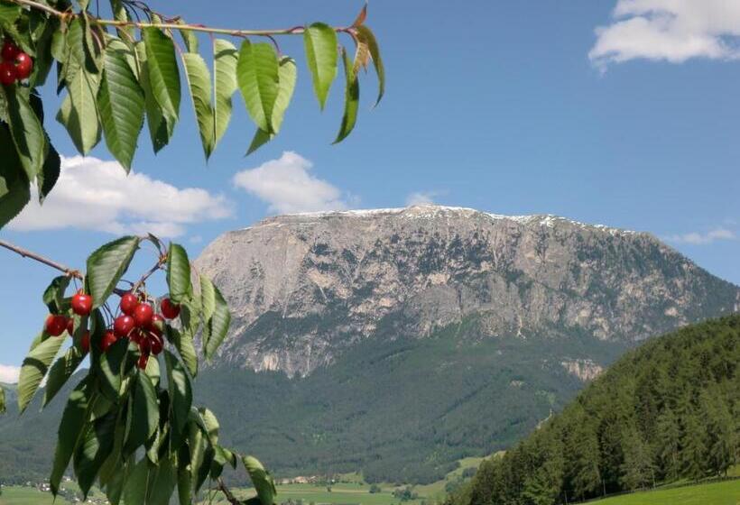 Апартаменты 1 Спальня с Видом, Ferienbauernhof Masunerhof