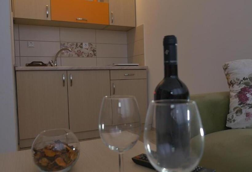 استودیوی لوکس, Guesthouse Ušće