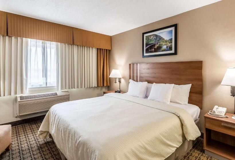 스탠다드 룸 킹사이즈 침대, Clarion Inn Harpers Ferrycharles Town