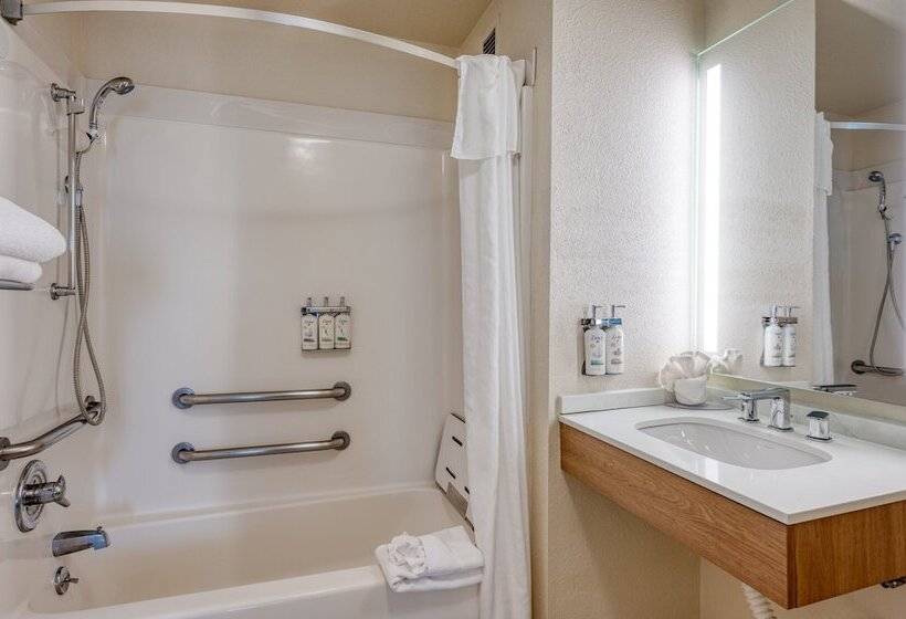 适合残疾人士使用的套间, Staybridge Suites Allentown Airport Lehigh Valley, An Ihg