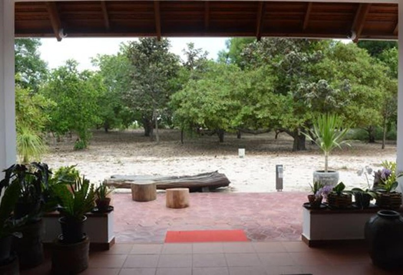 1间卧室的房子, Dracaena Resort