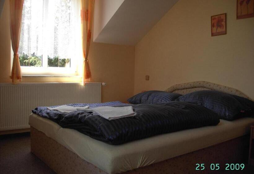 Номер Стандарт, Pension Všeruby
