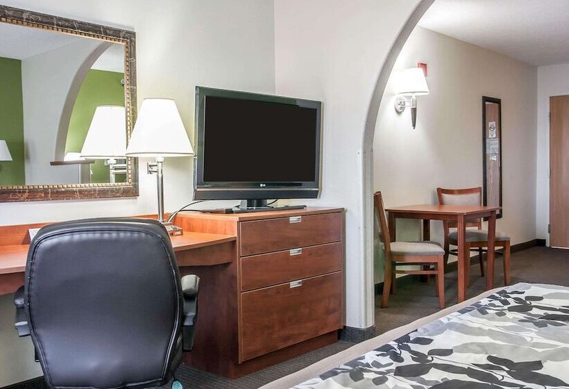 套房, Sleep Inn & Suites Conference Center And Water Park