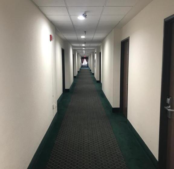 Номер Стандарт 2 Двуспальные Кровати, Americas Best Value Inn Pinckneyville