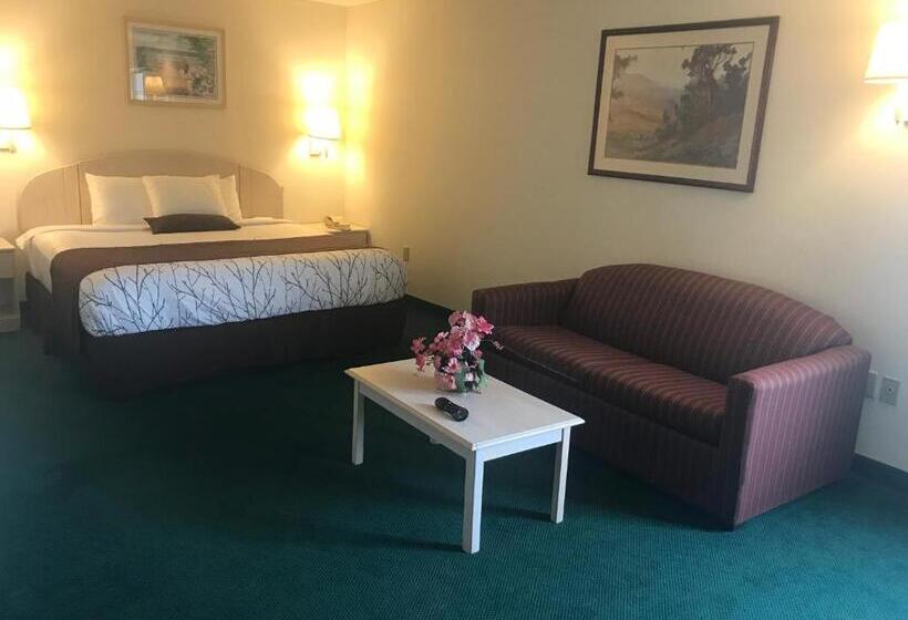 Люкс Кровать Кинг, Americas Best Value Inn Pinckneyville