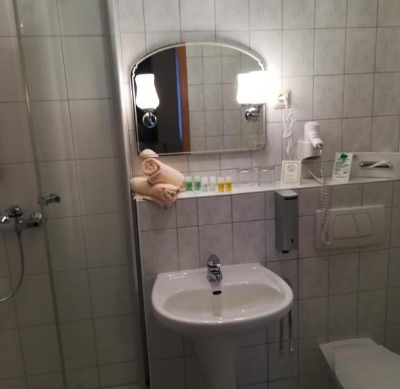 标准单人间, Kyffhäuserhotel Goldene Aue