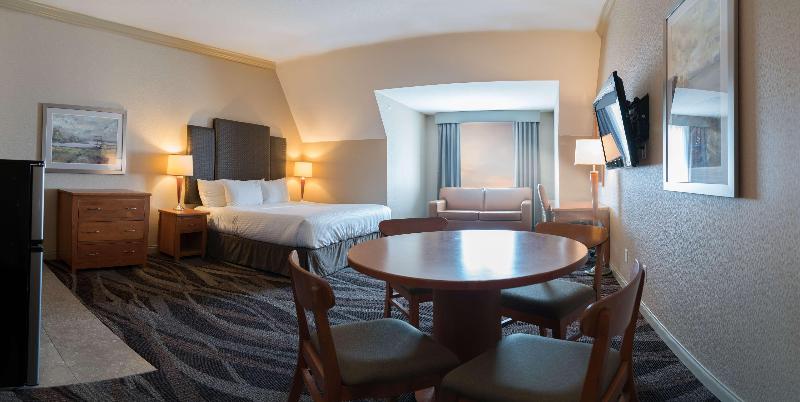 장애인을 위한 스탠다드 룸, Hilton Garden Inn Davis Downtown