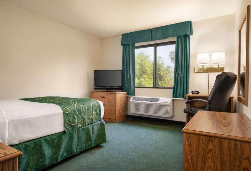 장애인을 위한 스탠다드 룸, Travelodge By Wyndham Morrill