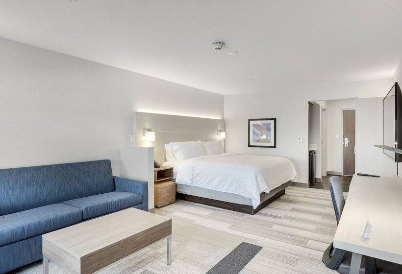 适合残疾人士使用的套间, Holiday Inn Express & Suites   Lockport, An Ihg