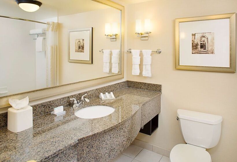 Номер Стандарт 2 Двуспальные Кровати, Hilton Garden Inn Denver Tech Center