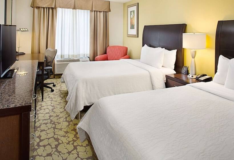 Номер Стандарт 2 Двуспальные Кровати, Hilton Garden Inn Denver Tech Center