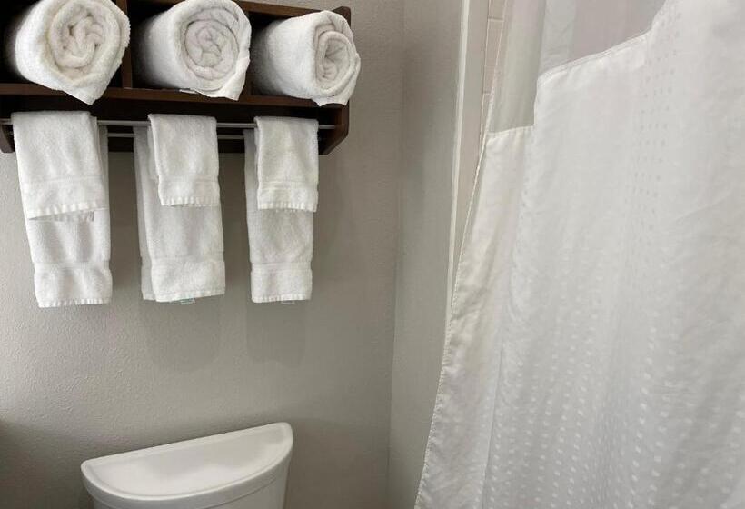 Suite Aangepast voor Gehandicapten, Holiday Inn Express & Suites   Indianapolis Northwest, An Ihg