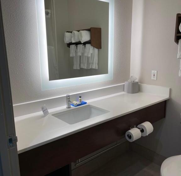 Executive Suite, Holiday Inn Express & Suites   Indianapolis Northwest, An Ihg