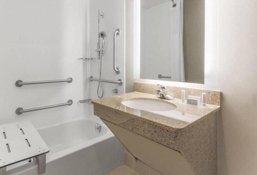 Suite Lit King, Springhill Suites By Marriott Austin Parmer/tech Ridge