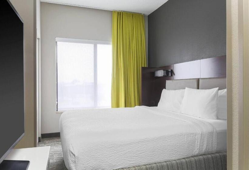 Suite Lit King, Springhill Suites By Marriott Austin Parmer/tech Ridge