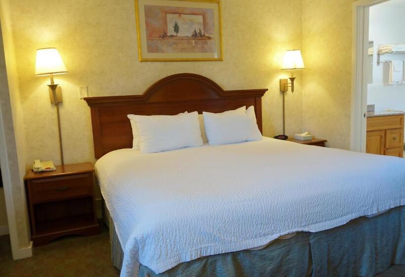 스탠다드 룸 킹사이즈 침대, Monument Mountain Motel