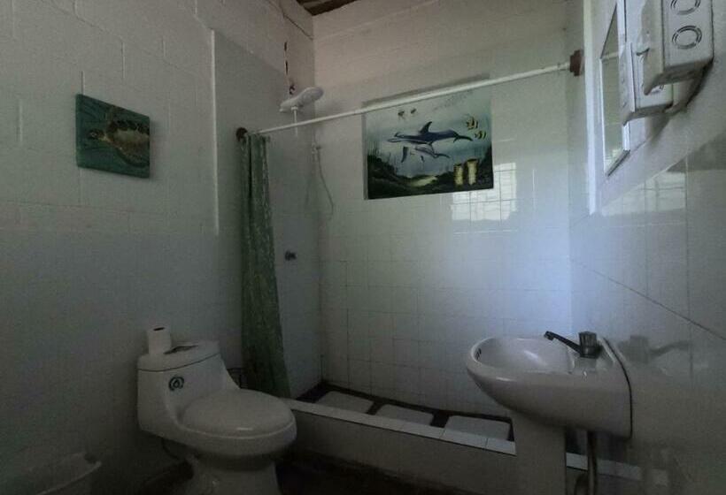 Номер Стандарт, Hammock Plantation